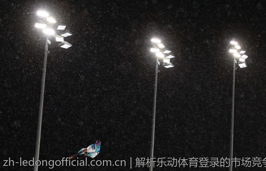 解析乐动体育登录的市场竞争格局