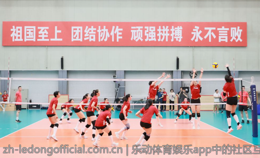 乐动体育娱乐app中的社区互动与分享功能